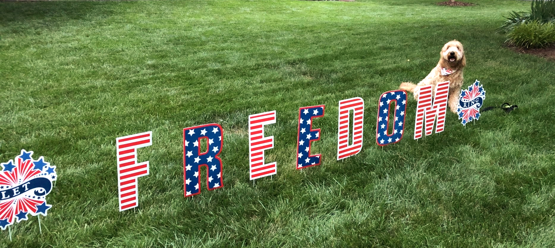 image of RETEX's Albus Lewis with FREEDOM yard decorations in North Chesterfield VA 23235.