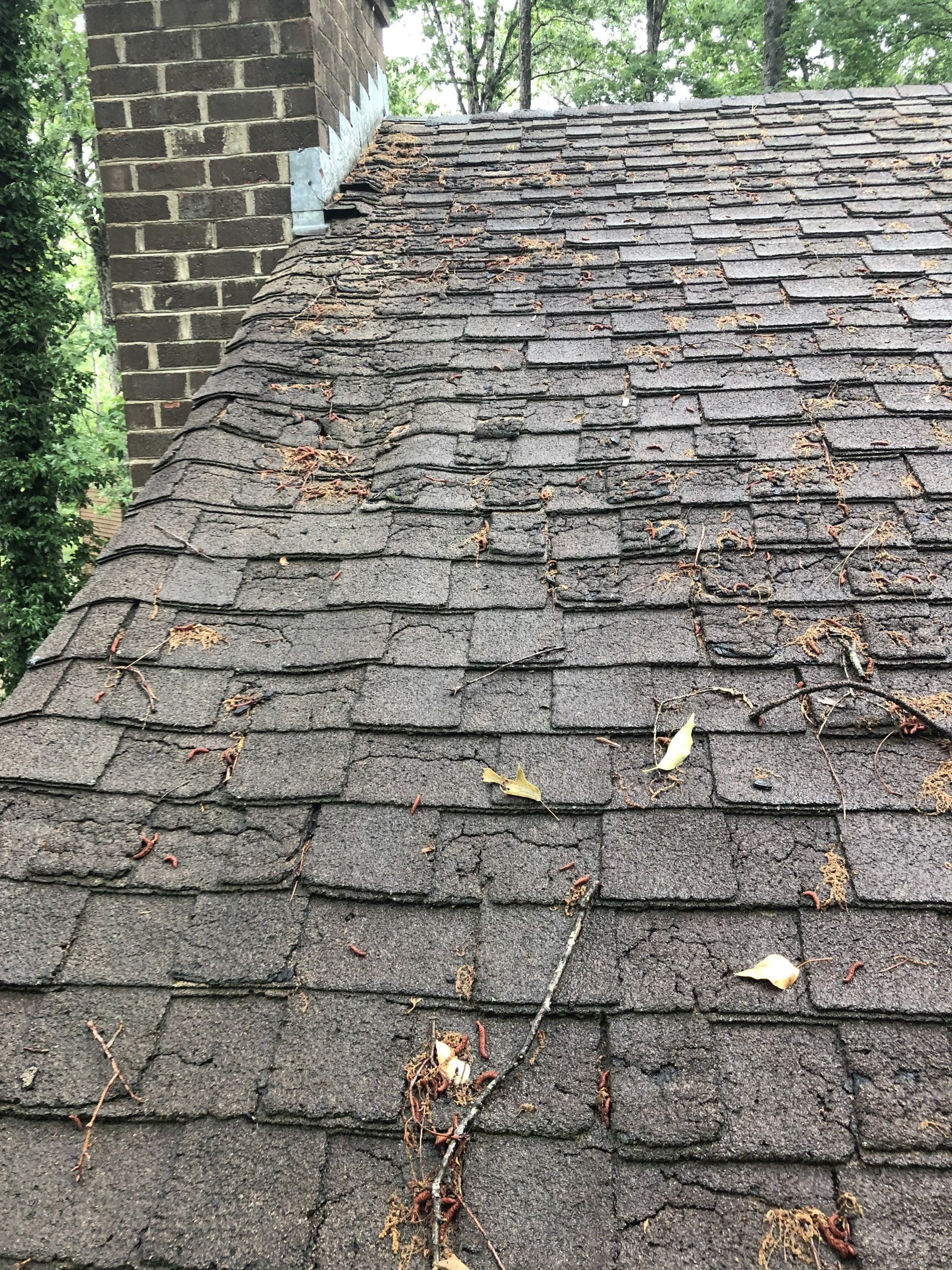 Image of a very old (40+ years) asphalt shingle roof in Richmond VA.