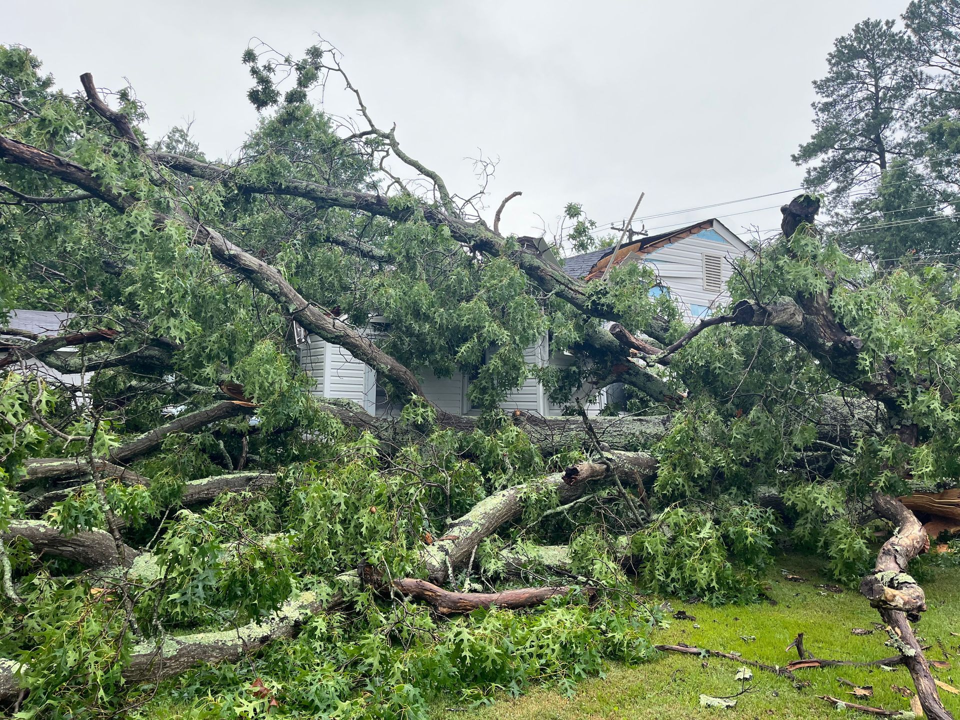 Photo of fallen tree damage to roof after big storm in Richmond VA.