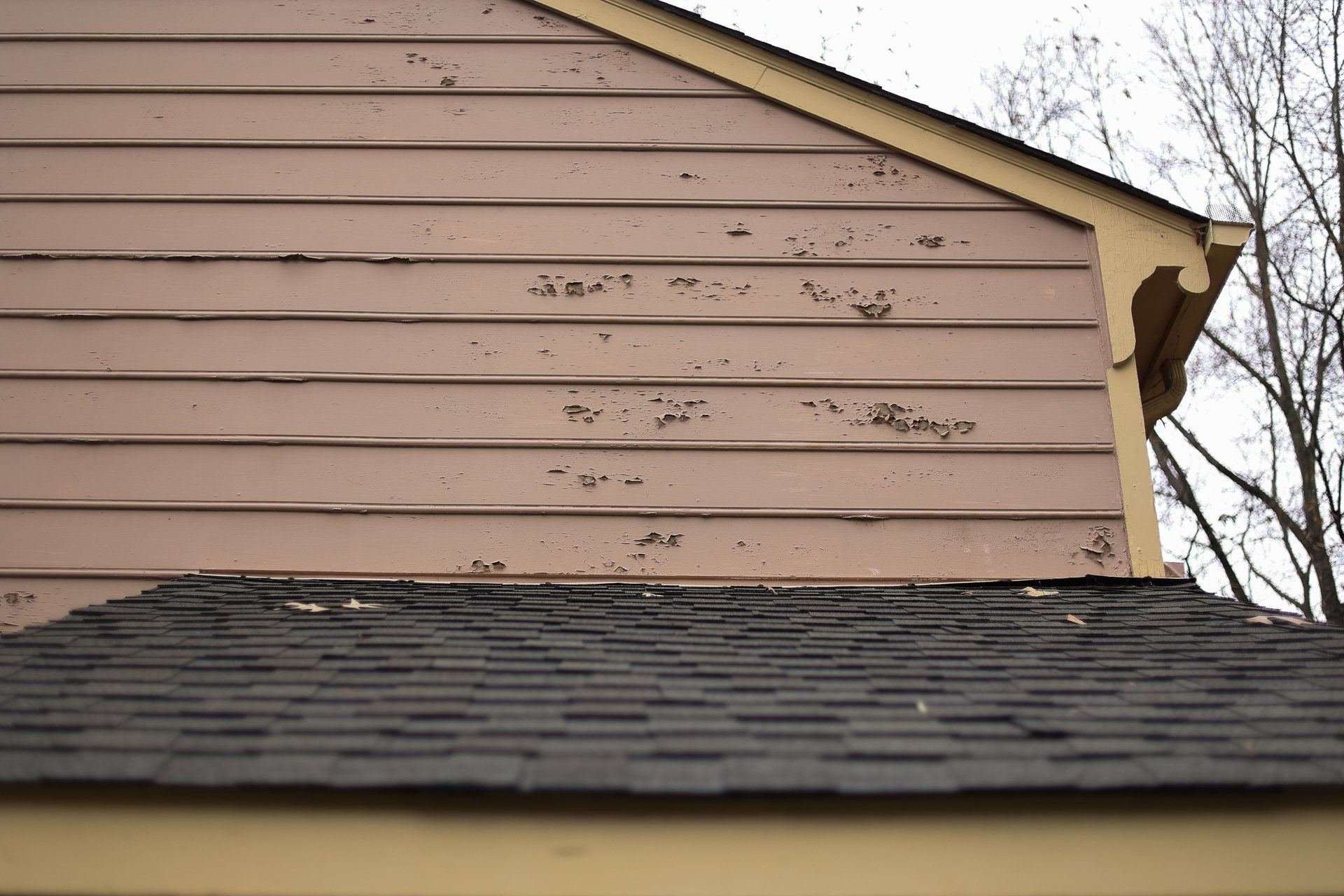 Image of old Masonite siding peeling away from home in North Chesterfield Va 23235. Photo by RETEX's Katelyn Lewis.