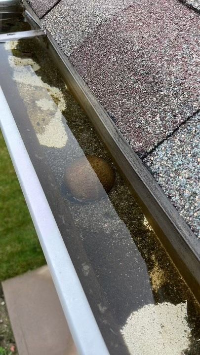 Gutter with baseball stuck in downspout opening, causing water and debris to build up. 