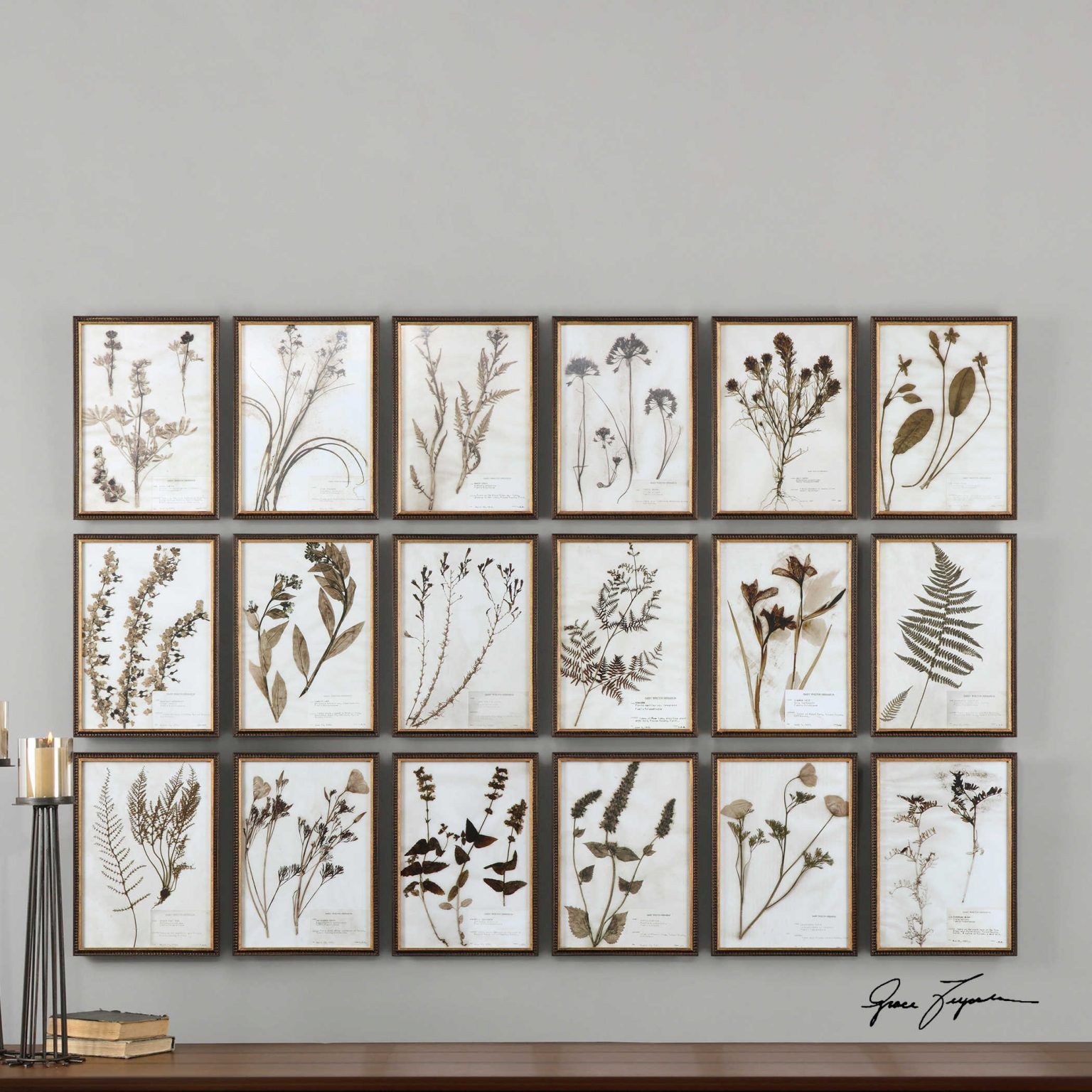 Framed dried botanical prints provide beautiful home decor