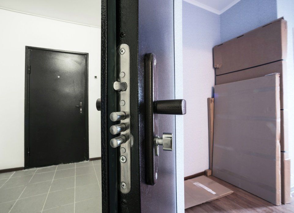dettaglio blindatura porta