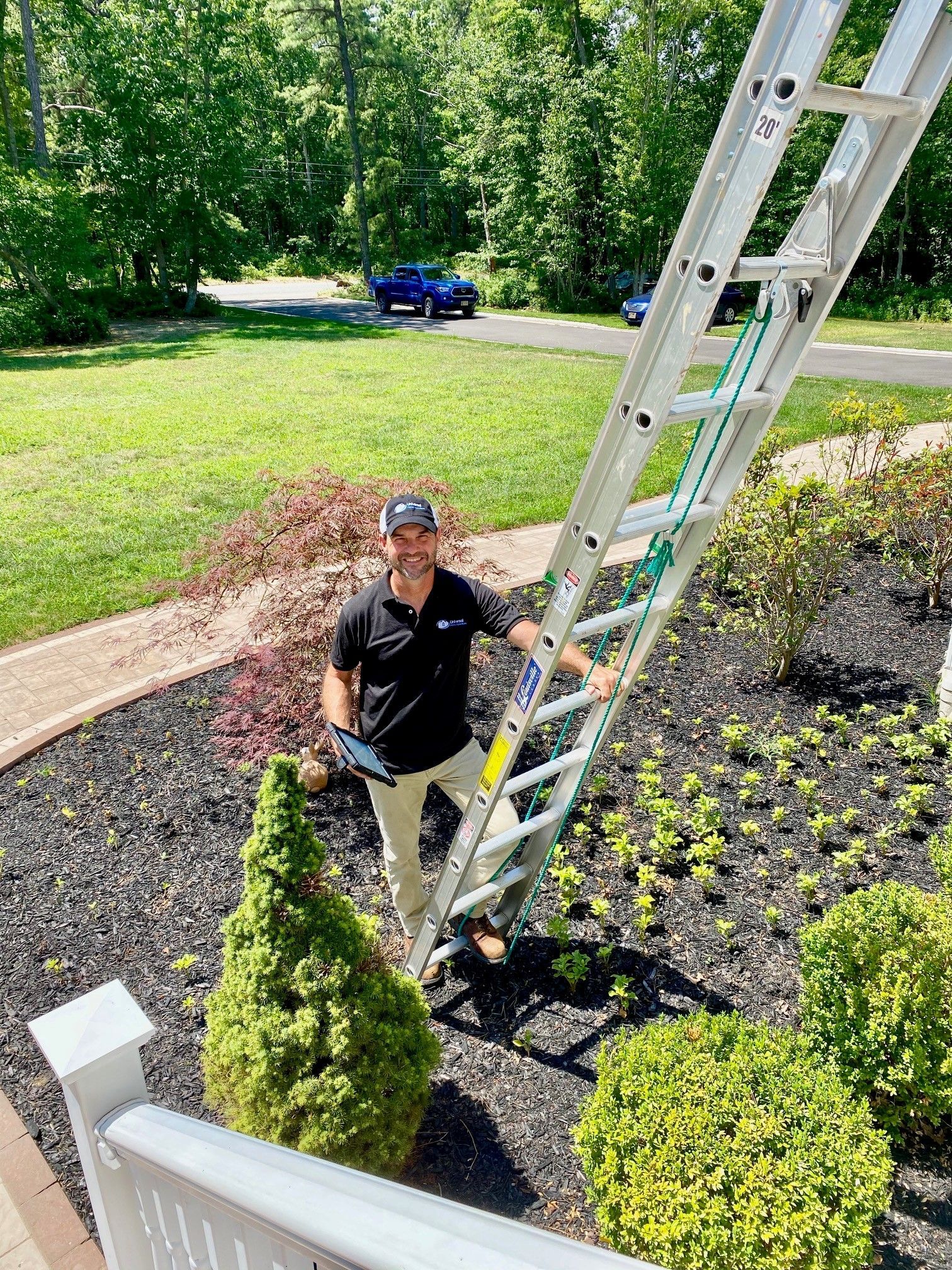 A man is standing on a ladder in a garden.