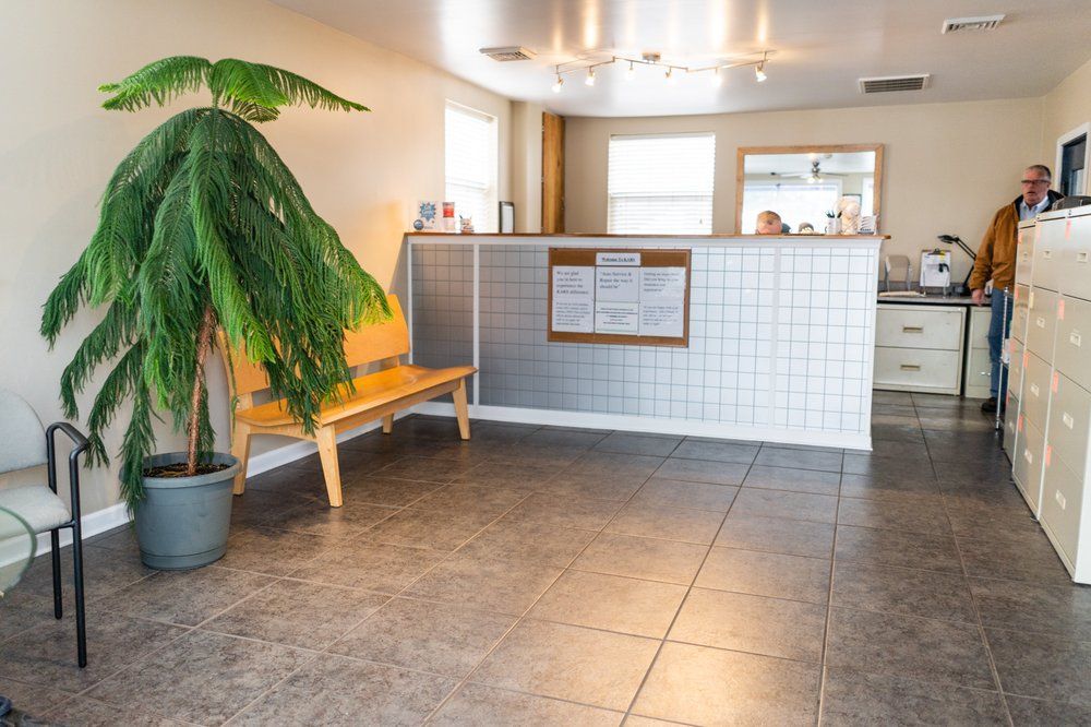 A man is standing in a waiting room with a plant and a bench.