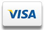 A blue and yellow visa logo on a white background.