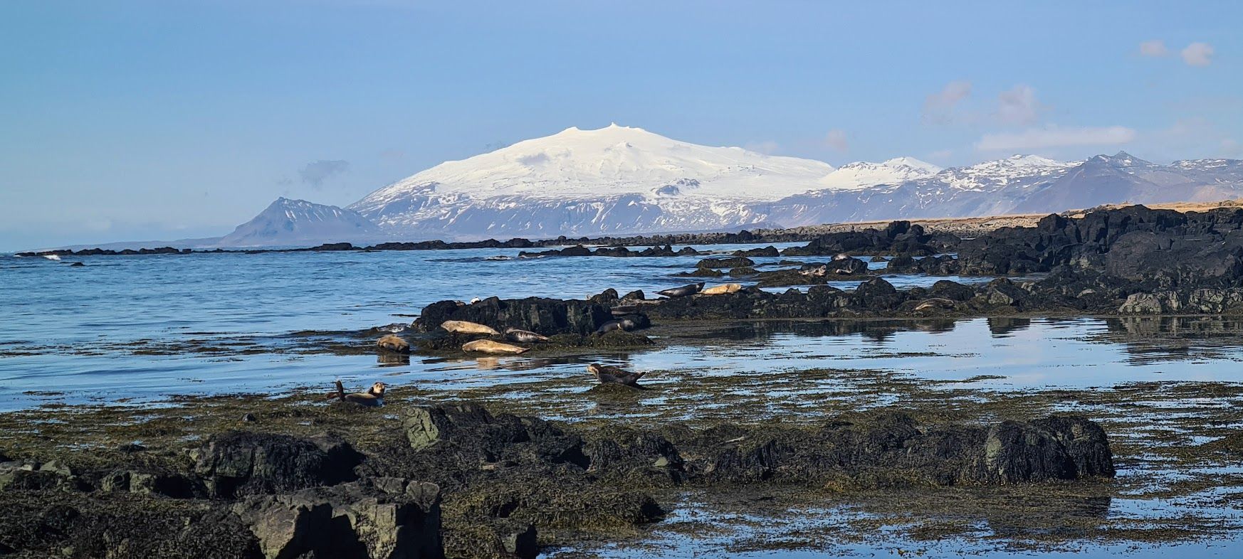 Snæfellsnes Peninsula - Private Tour