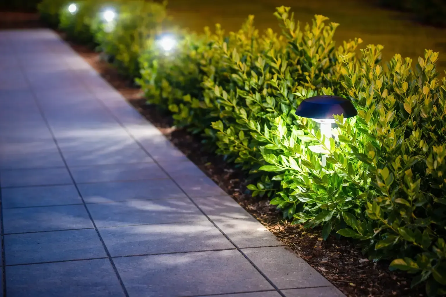 Pathway illuminated by small lights next to a green hedge at night.
