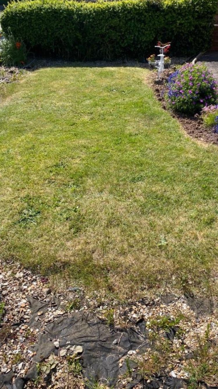 Before of driveway when it was just grass