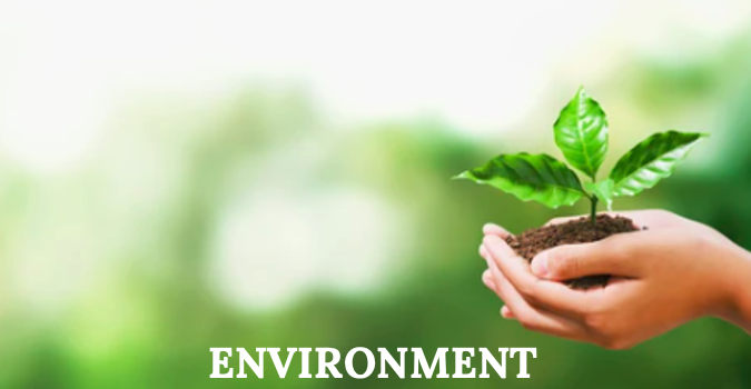 nonprofit environmental