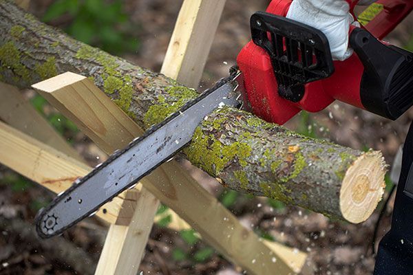 A person is cutting a tree branch with a chainsaw.