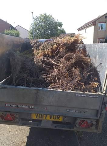 Green waste clearance Norfolk