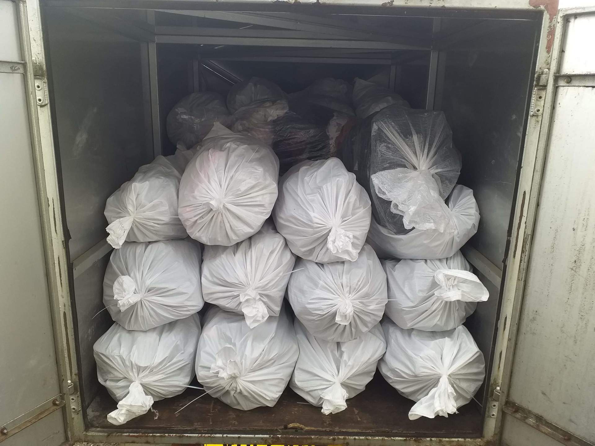 Charity donations from JSCR to Cats Protection