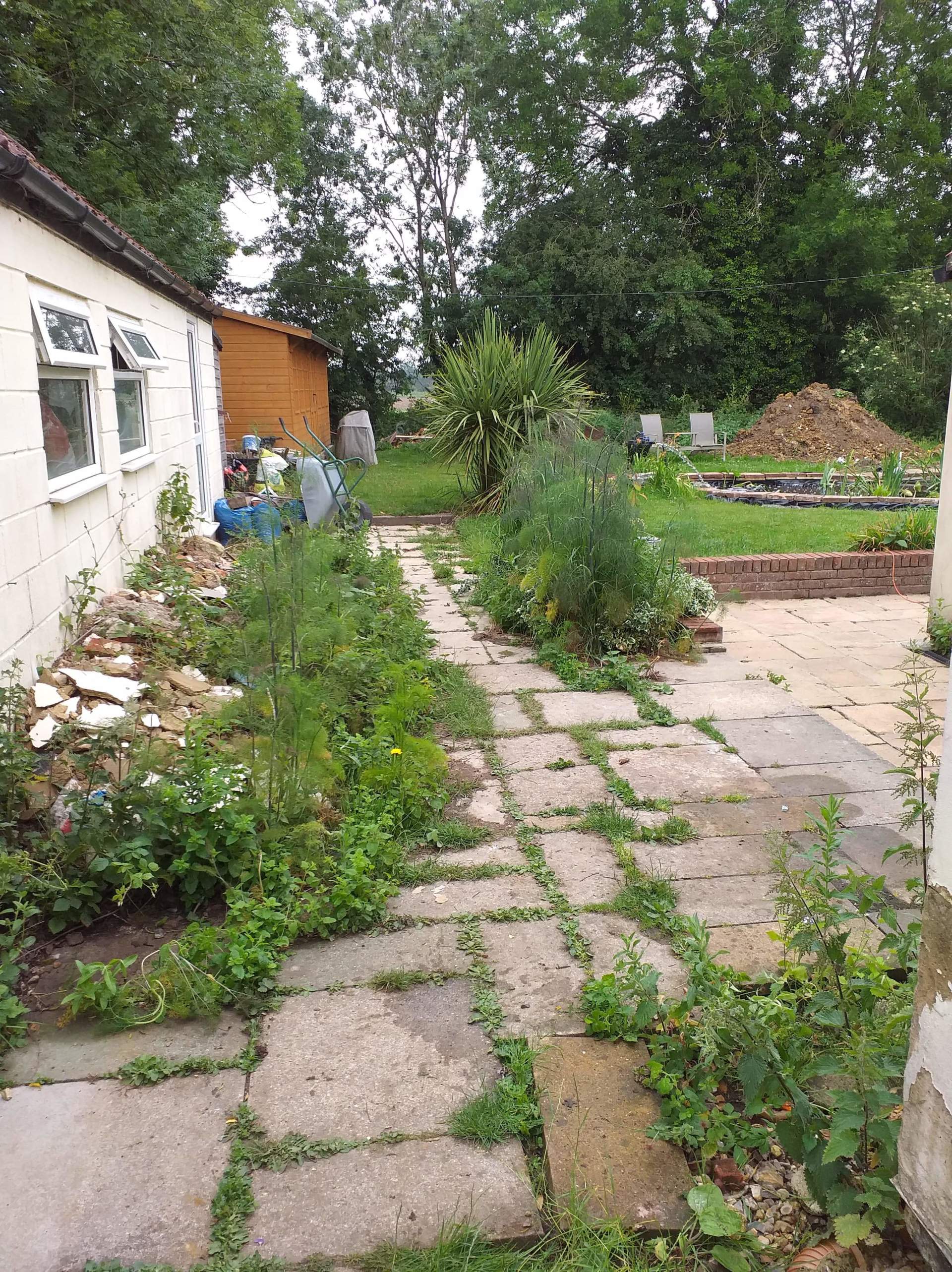 Garden Clearance Norfolk