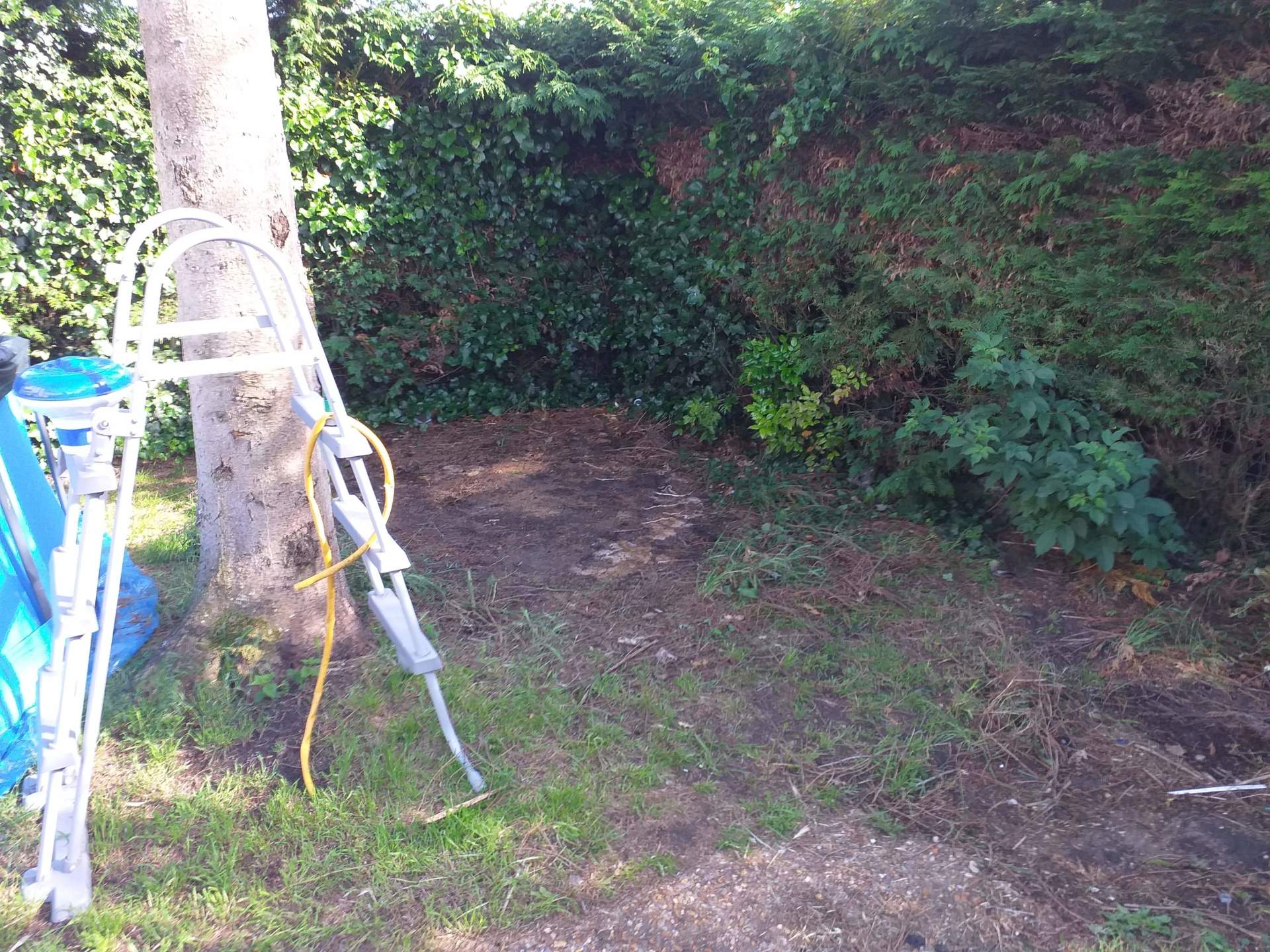 After a garden/House clearance in Norfolk
