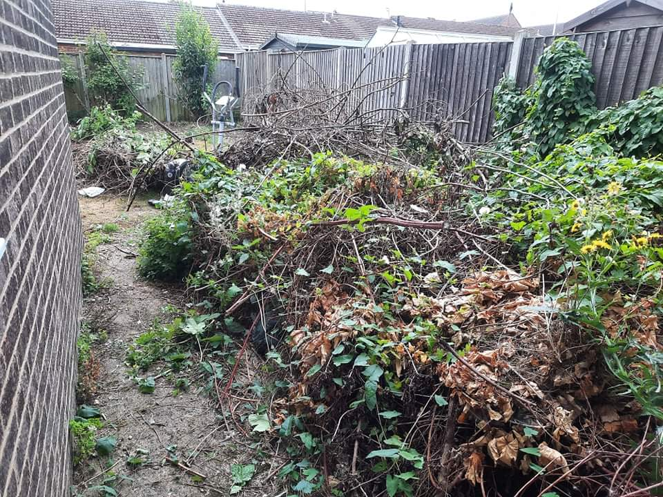 Garden Clearance