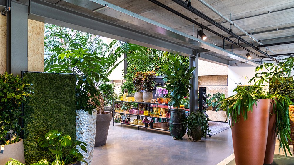 Trends in planten door De Klerk