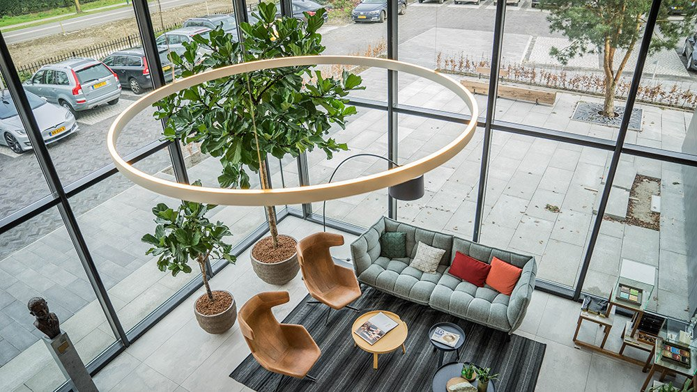 Kantoorplanten van De Klerk