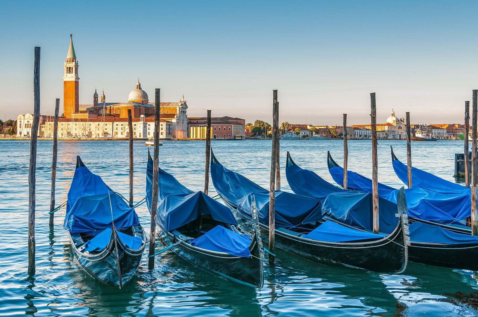 Guided tours of Venice with an expert local guide,Ready to explore the magic of Venice?