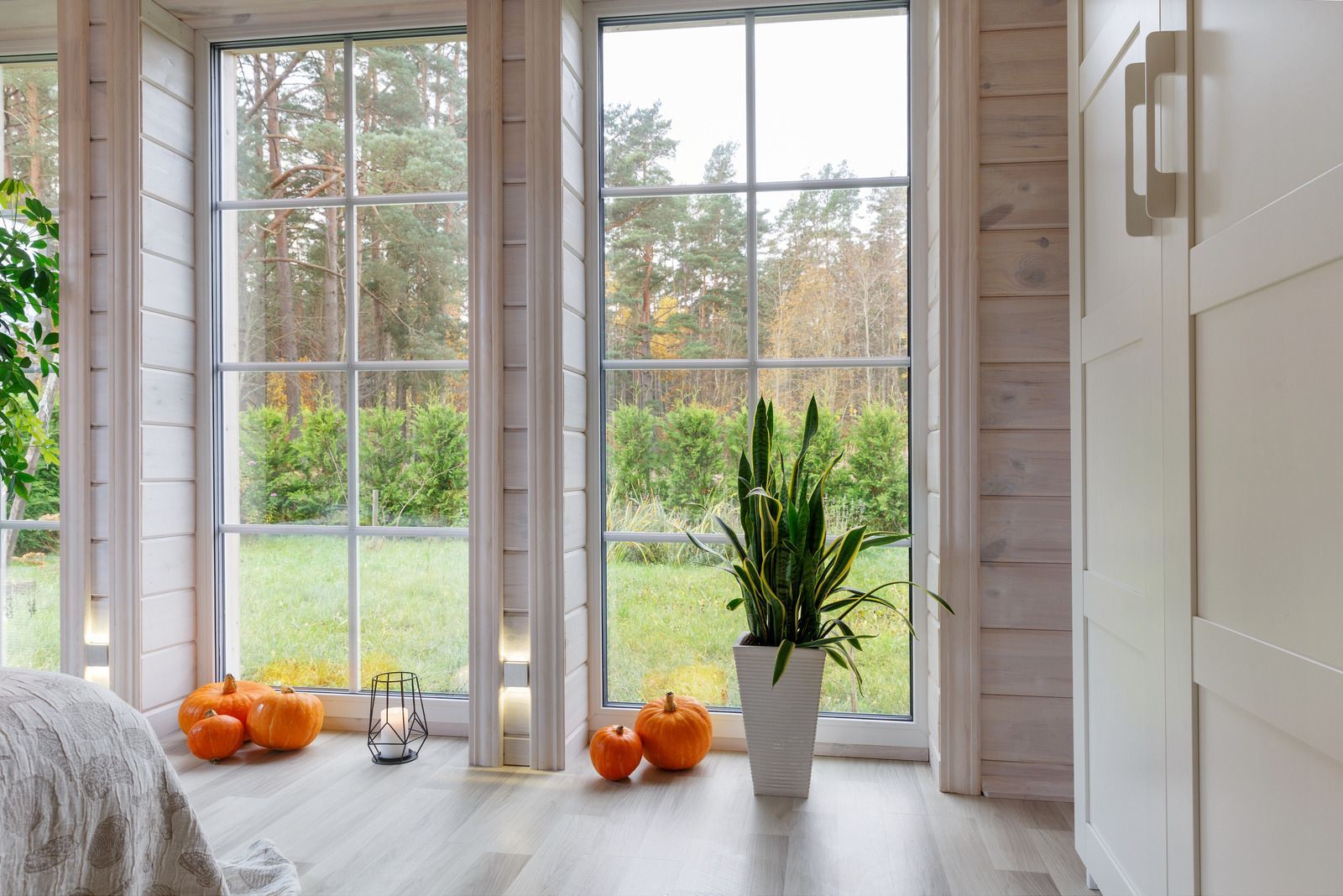 A room with a lot of windows and pumpkins on the floor.
