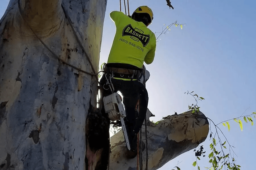 Unique Tree Service