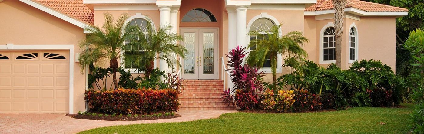 A white house with a tree in front of it and palm trees in the background.