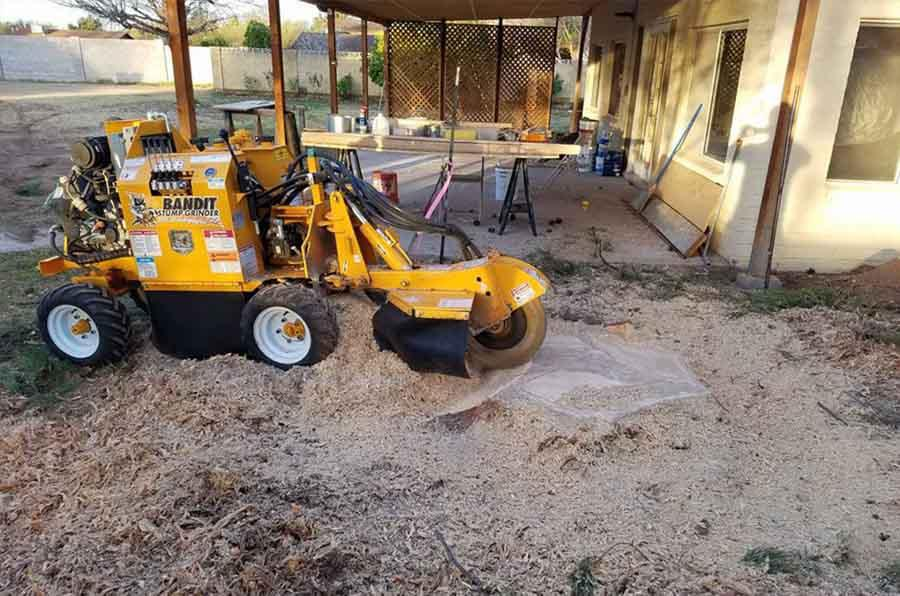 A yellow stump grinder removing a tree stump, outside near a house with wood shavings covering the ground.