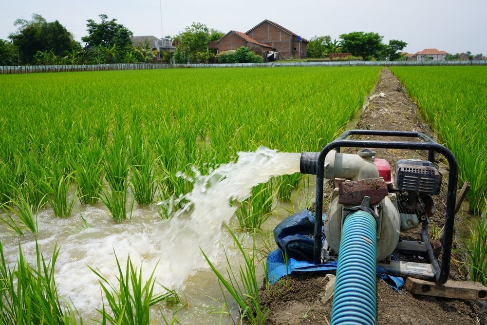 Irrigation Of Rice Fields Using Pump Wells — Bowen Hire & Sales in Bowen, QLD