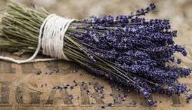 A bunch of lavender flowers tied with a string on a table.