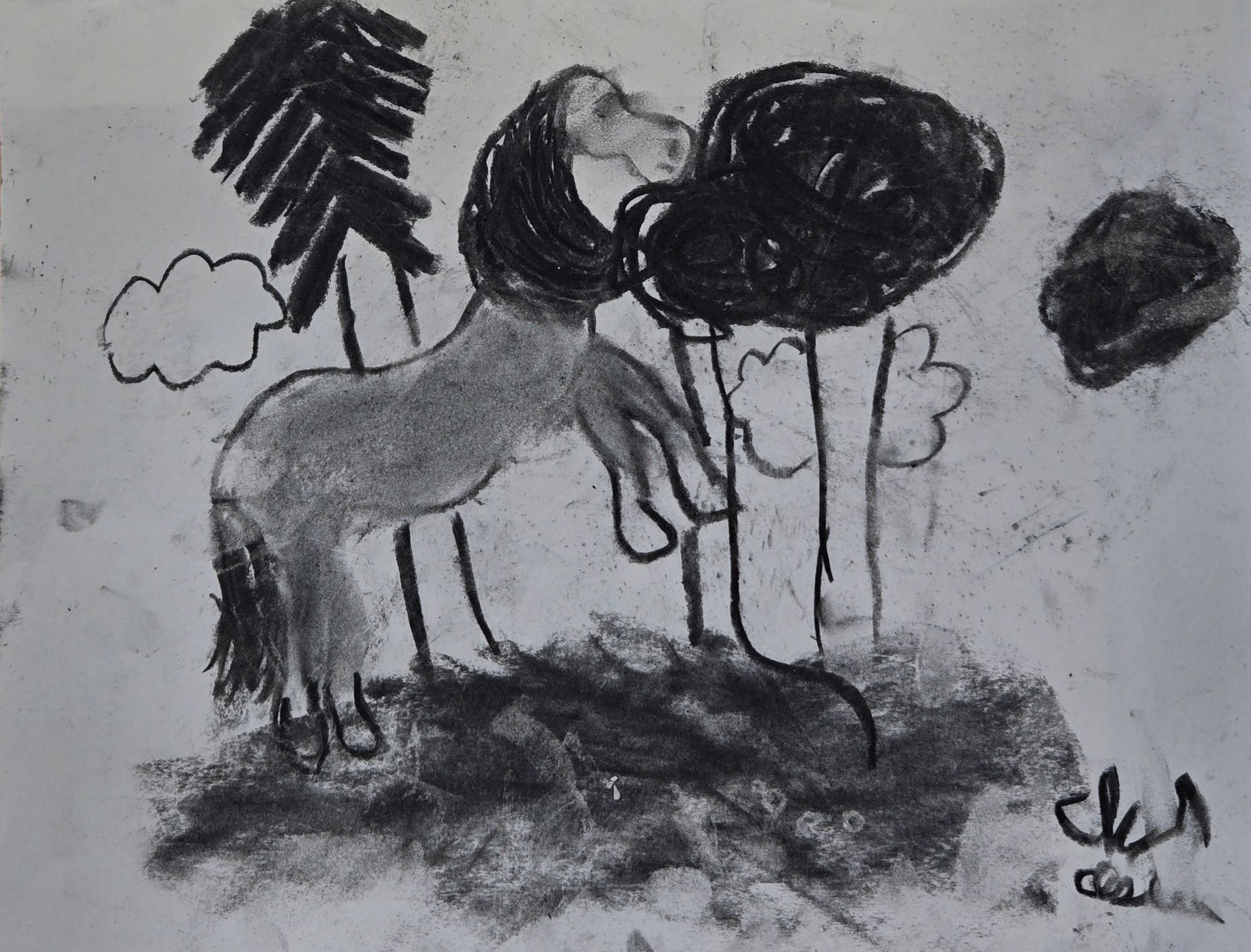 Charcoal drawing of a horse in a forest, reaching to a tree. Dark shading, simple shapes.