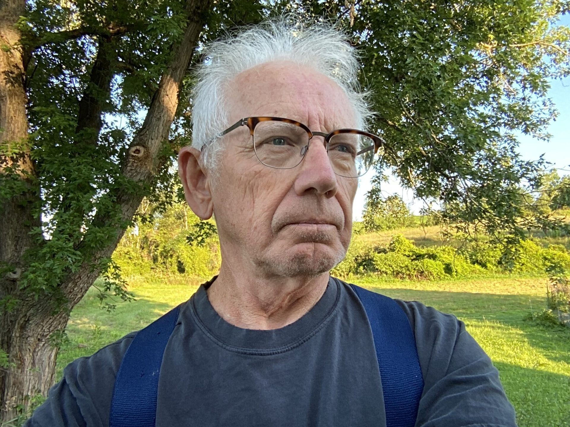 Older man with glasses looks off-camera, blue straps over gray shirt, tree and field in the background.