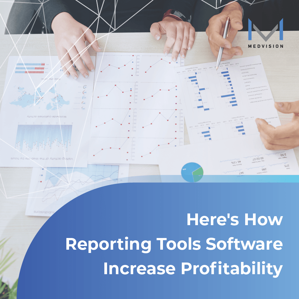 How Reporting Tools Software Increase Profitability