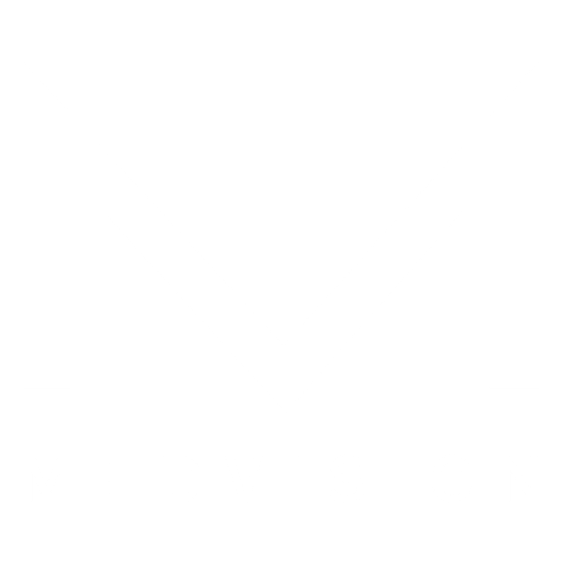 MedVision Inc Official Logo