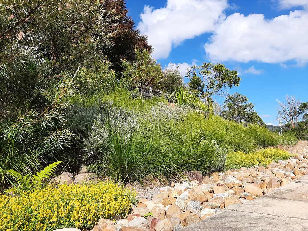 A Dirt Road Surrounded By Trees And Flowers On A Sunny Day — Full Circle Landscaping in Uki, NSW