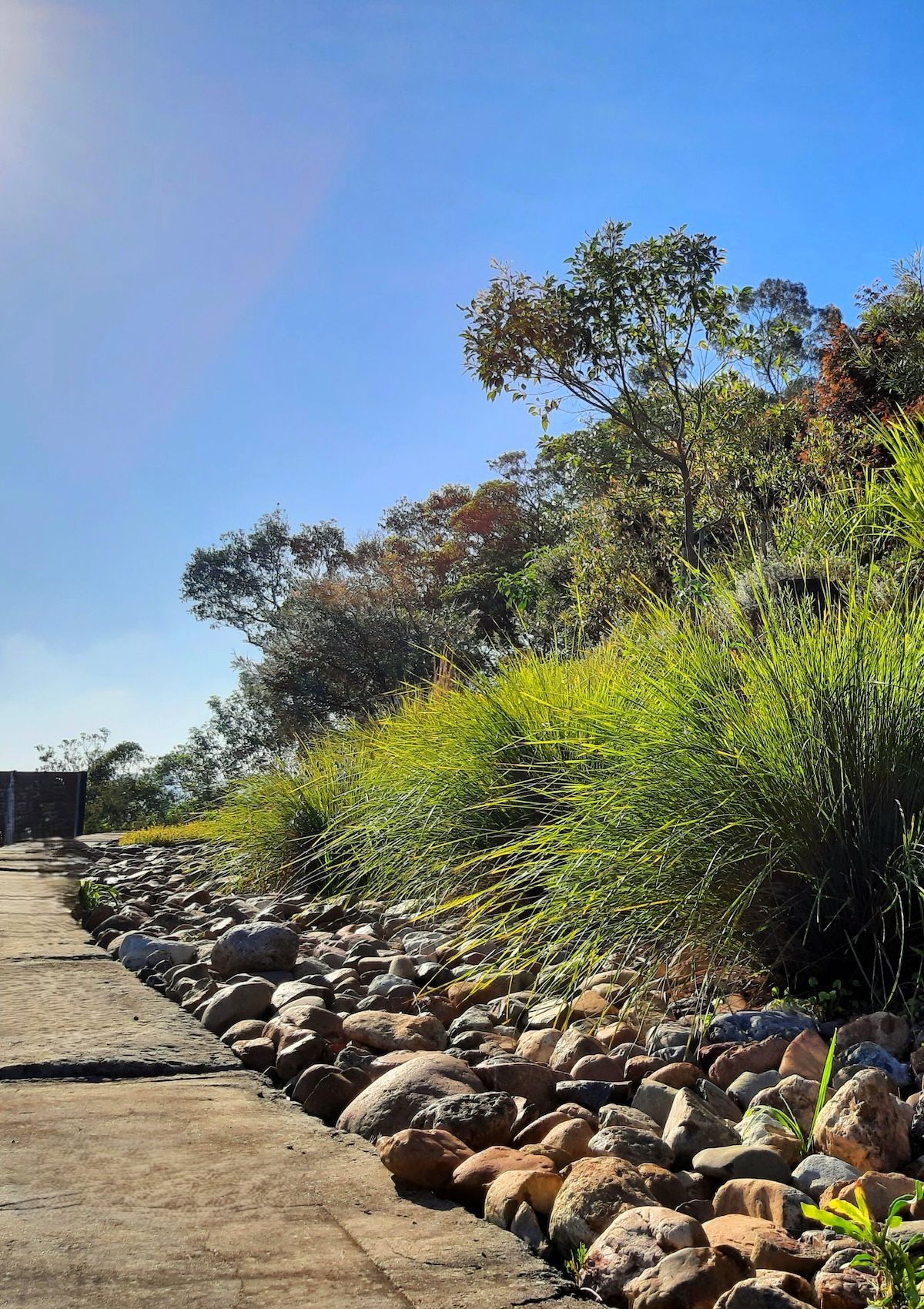 A Row Of Sprinklers Spraying Water On A Lush Green Lawn — Full Circle Landscaping in Uki, NSW