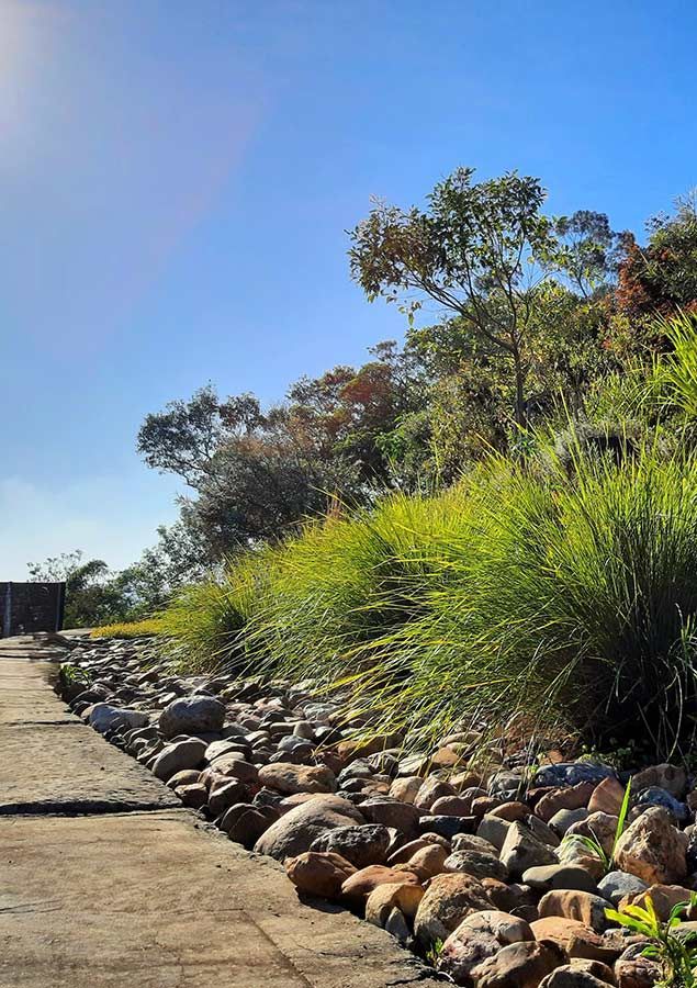 A Path Surrounded by Rocks and Trees on a Sunny Day — Full Circle Landscaping in Murwillumbah, NSW