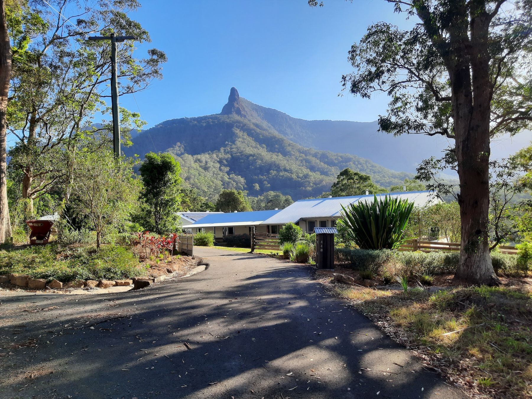 A White House With A Lot Of Plants In Front Of It — Full Circle Landscaping in Uki, NSW
