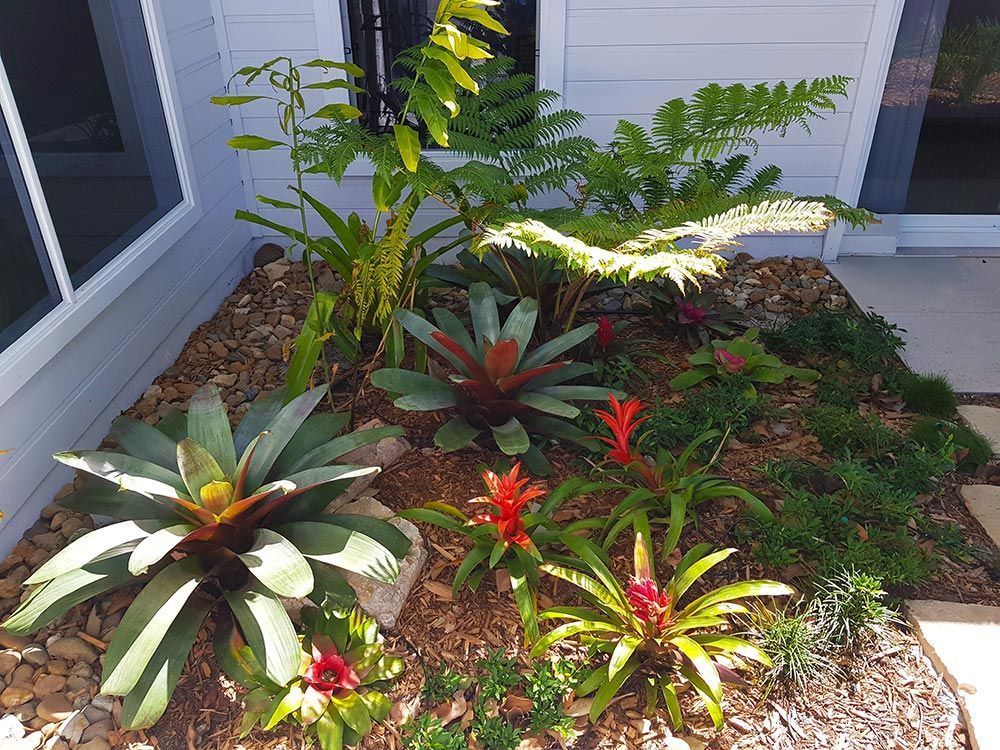 A Garden With Lots Of Plants And Flowers In Front Of A House — Full Circle Landscaping in Uki, NSW