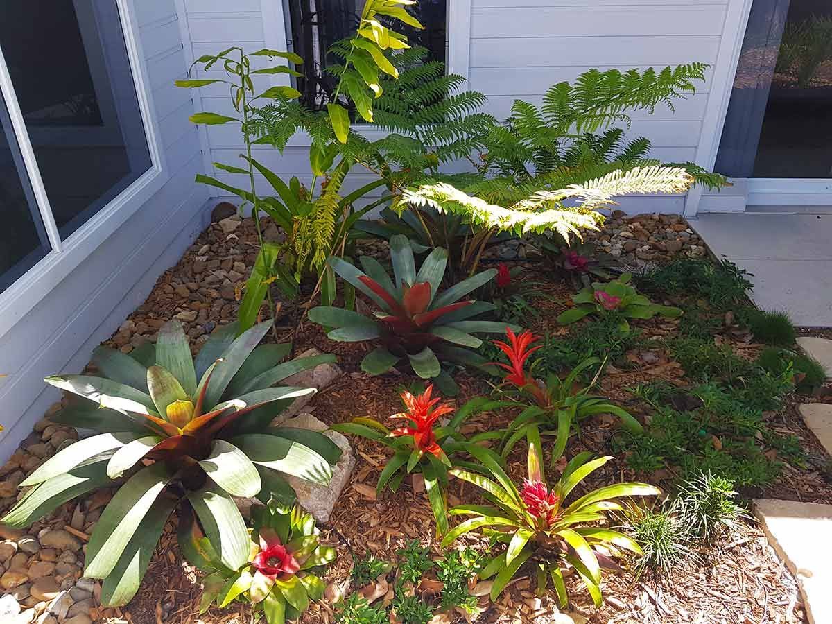 A Garden With Lots of Plants and Flowers in Front of a House — Full Circle Landscaping in Tweed Heads, NSW