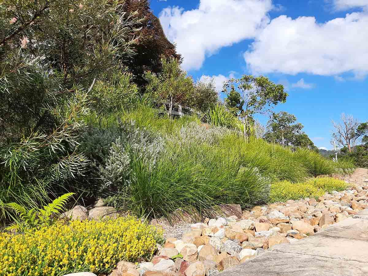 A Dirt Road Surrounded by Trees and Flowers on a Sunny Day — Full Circle Landscaping in Tweed Heads, NSW