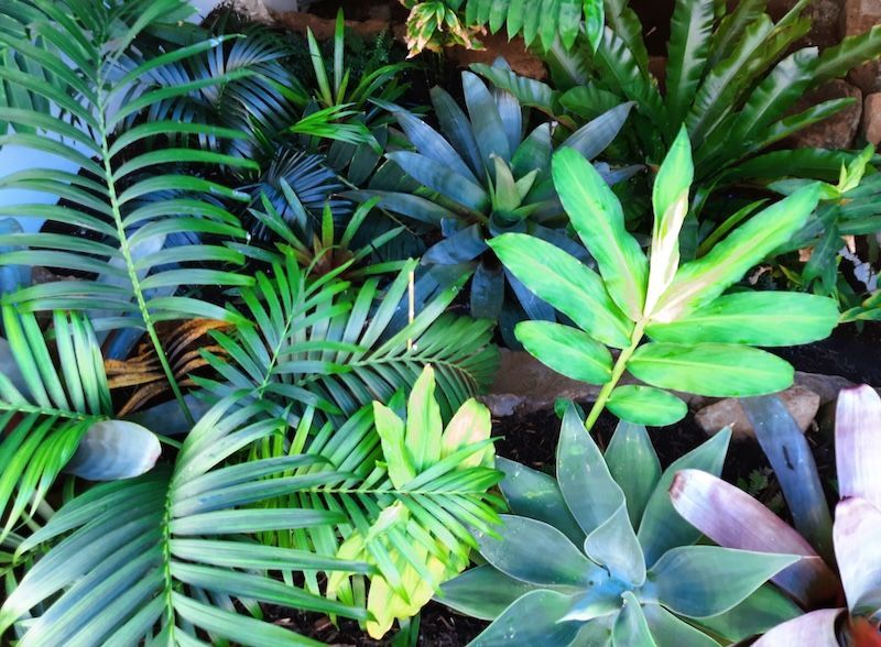 A White House With Plants in Front — Full Circle Landscaping in Uki, NSW