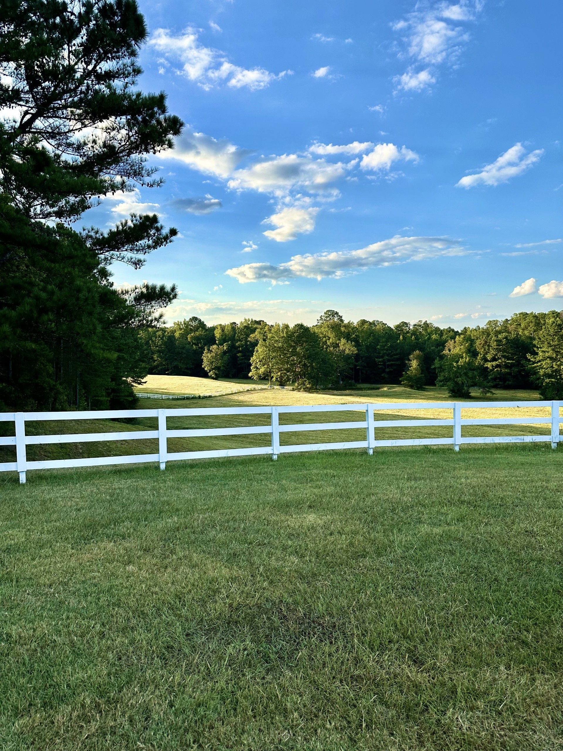 An aerial view of a house in the middle of a forest.