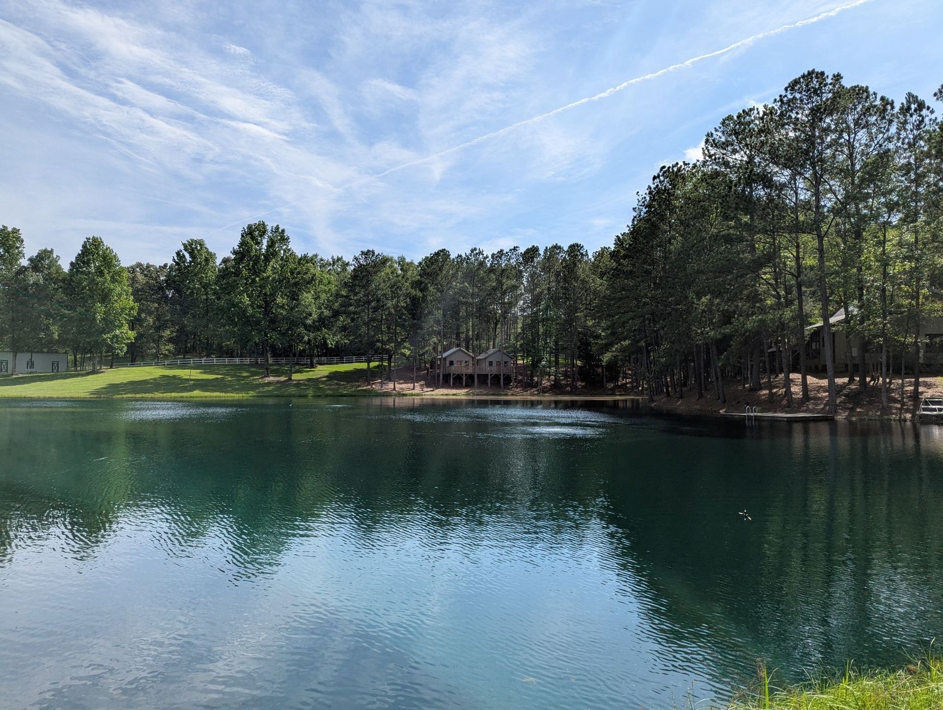 A large body of water surrounded by trees on a sunny day