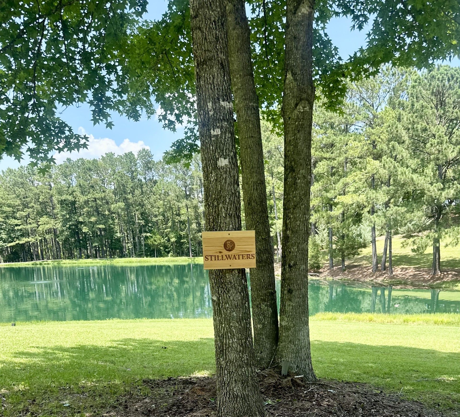 A large body of water surrounded by trees on a sunny day