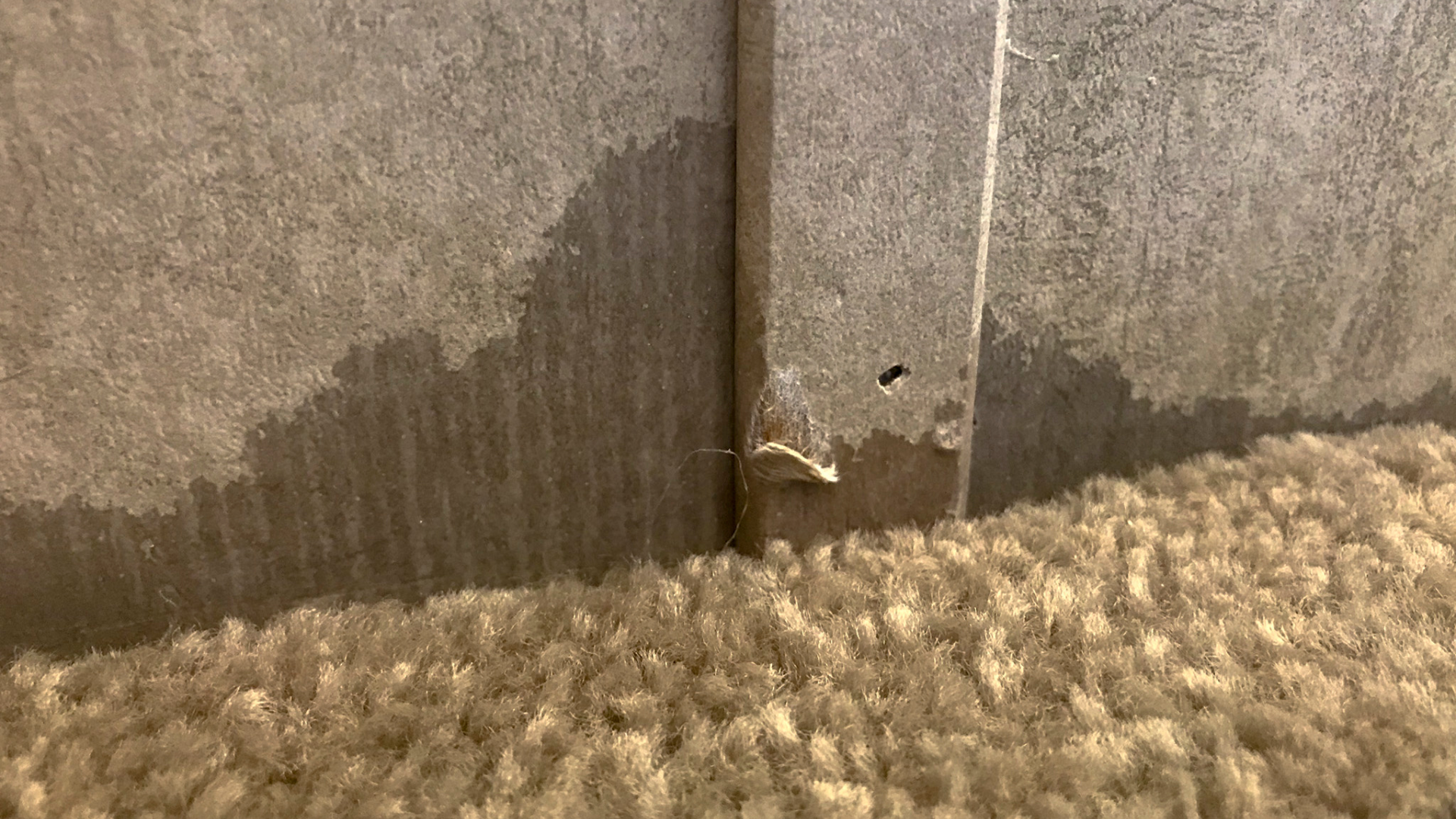 Water Restoration | Naturally Fresh | Tucson, TX