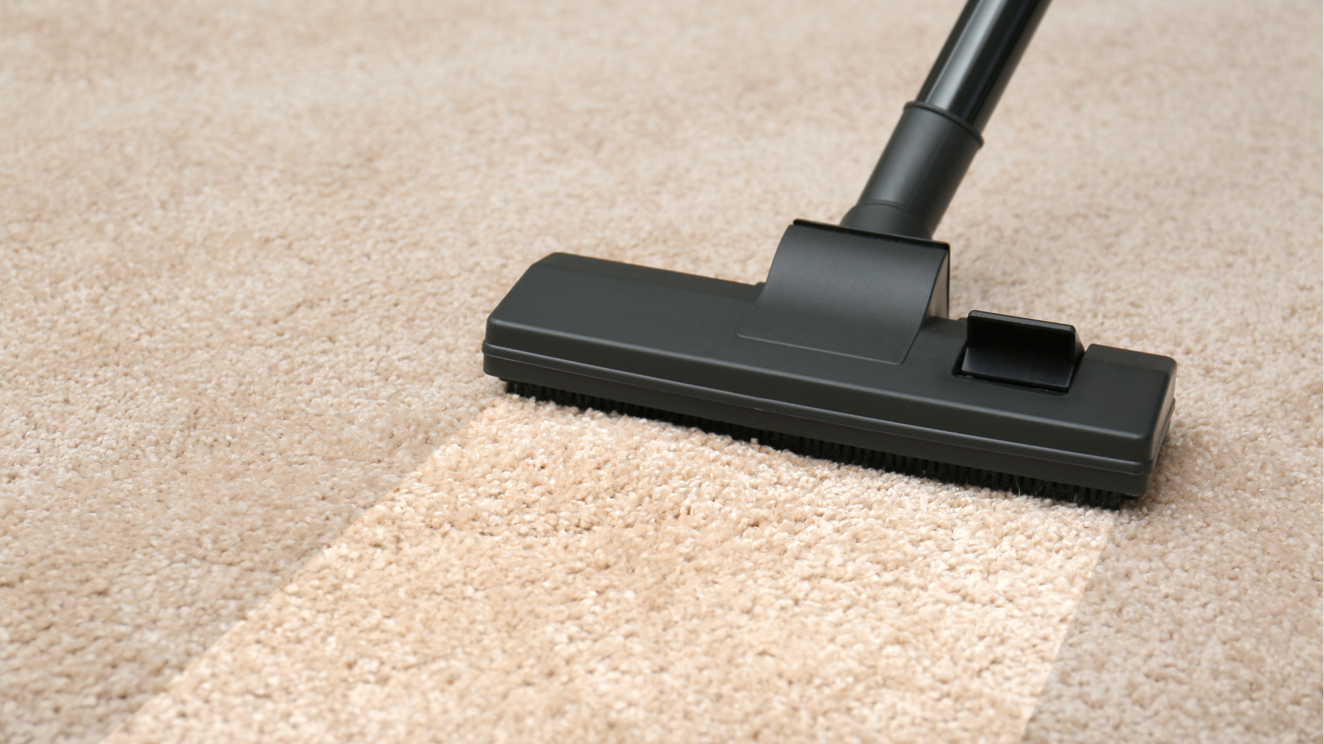 Carpet Cleaning | Naturally Fresh | Marana, AZ