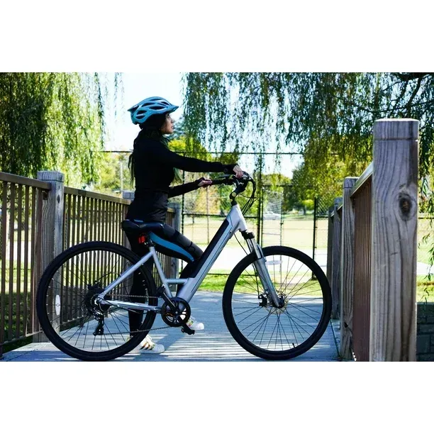 STEP CRUISER ELECTRIC BIKE