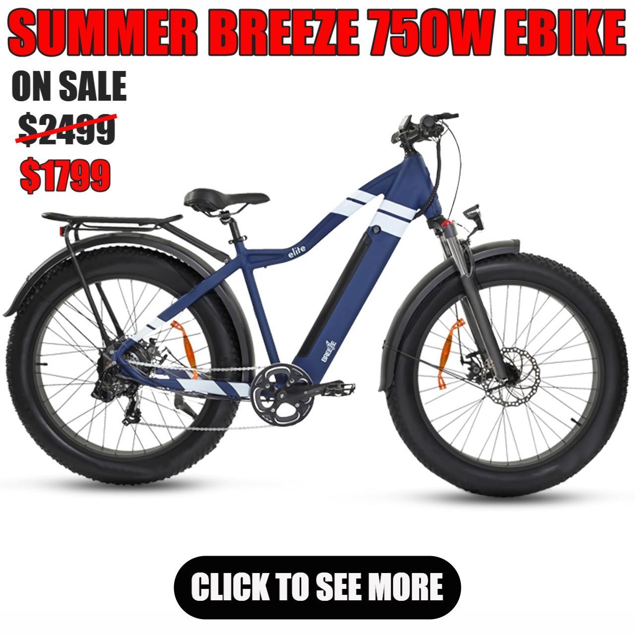 SUMMER BREEZE 750W ELECTRIC BIKE