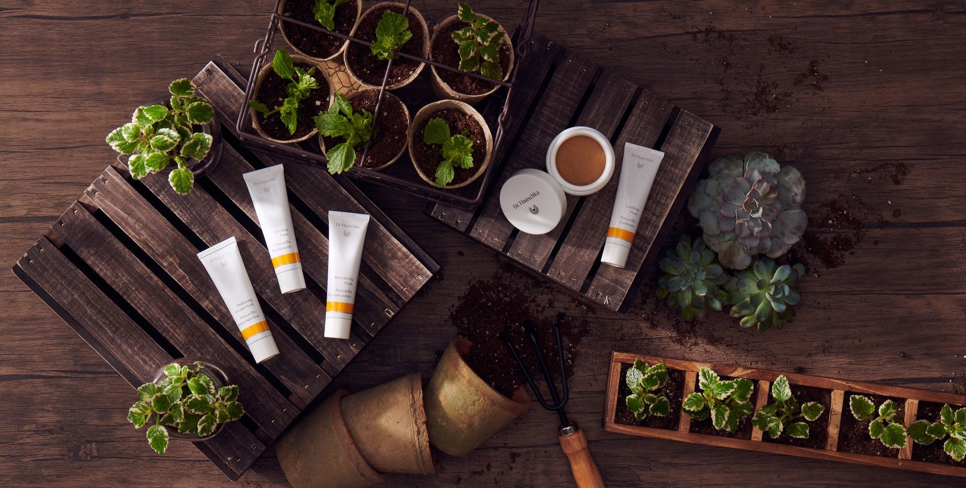 A wooden table topped with potted plants and tubes of lotion.