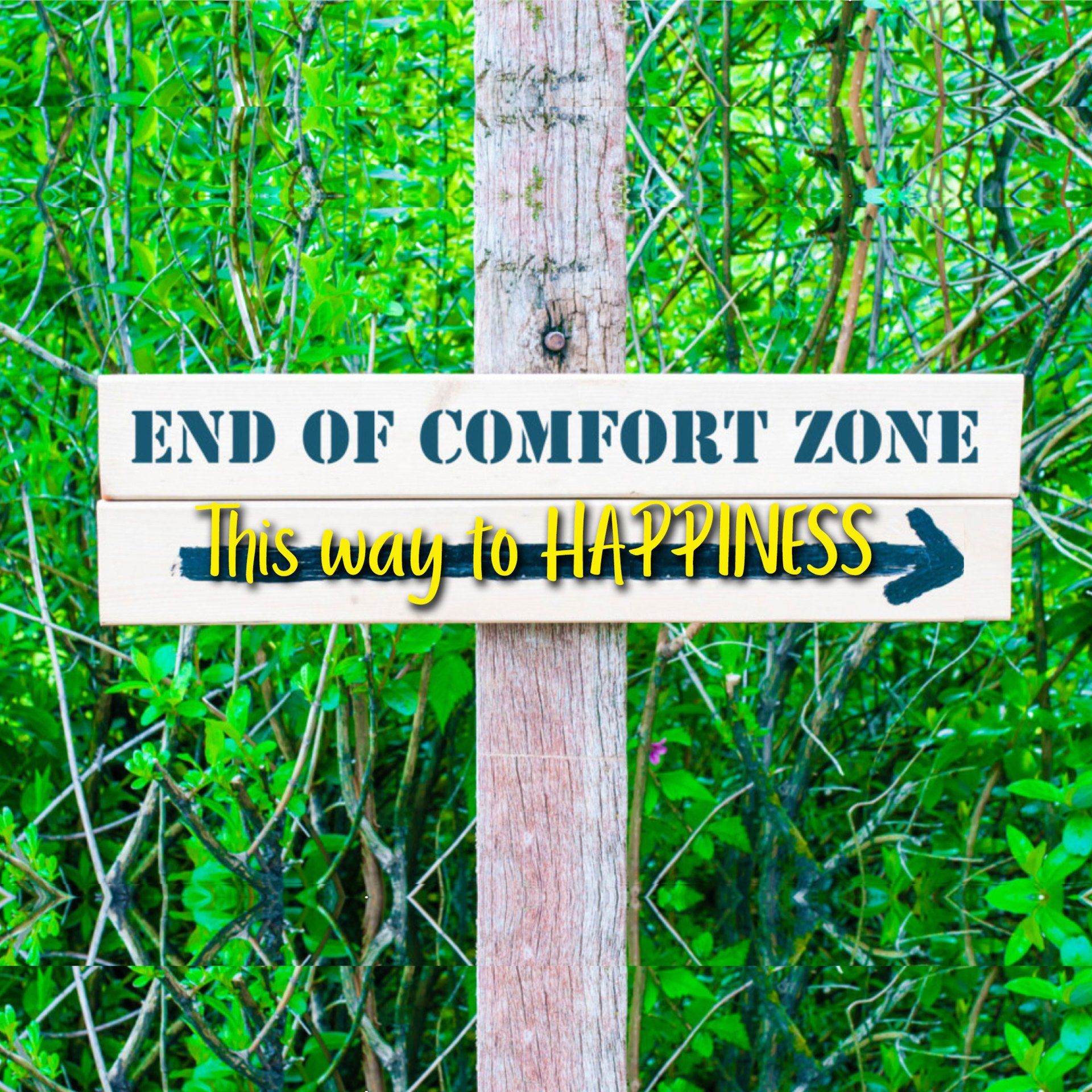 End of Comfort Zone This way to Happiness